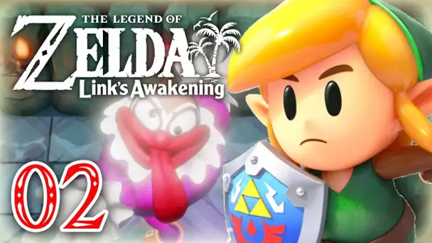🔴 Zelda Link's Awakening : La nouvelle aventure live !