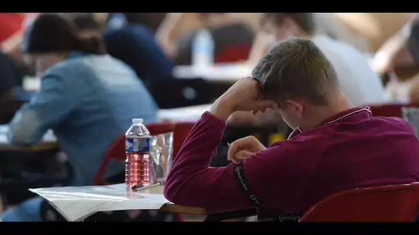 "On demande à pouvoir passer nos examens !" : à la fac de Rennes 2, des étudiants remontés contre…