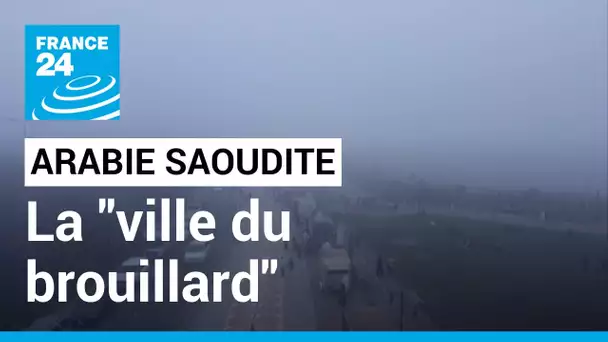 La "ville du brouillard", échappatoire des Saoudiens en quête de fraîcheur • FRANCE 24