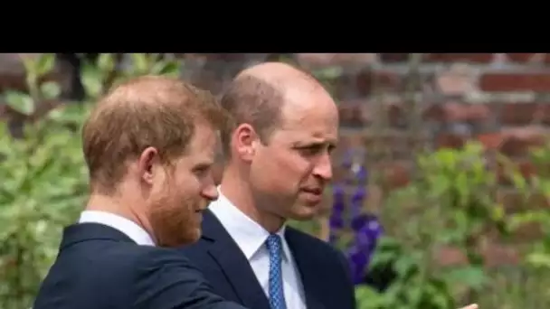 Prince Harry : cette phrase symbolique adressée au prince William avant l’hommage...