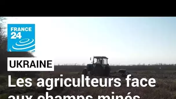 Ukraine : malgré le danger, les agriculteurs travaillent leurs champs minés • FRANCE 24