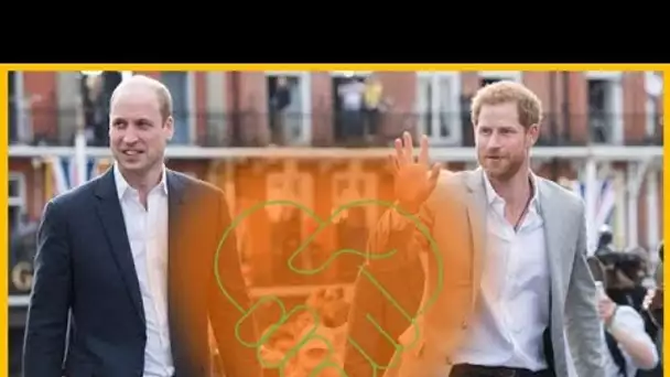 Prince William et Prince Harry vraiment réconciliés ? Voici ce qu'il en est vraiment !