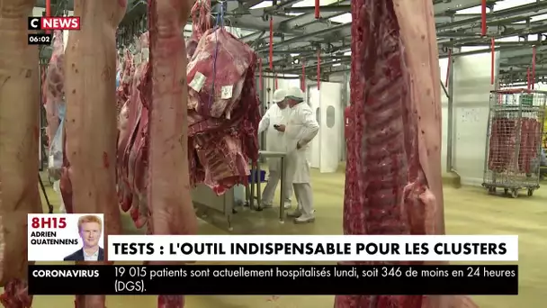 Dépistage massif dans un abattoir breton