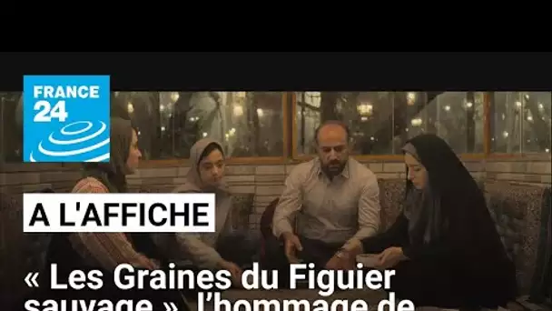 "Les Graines du Figuier sauvage", l'hommage de Mohammad Rasoulof aux femmes iraniennes • FRANCE 24