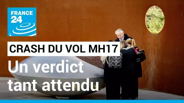 Crash du vol MH17 : un verdict tant attendu par les familles des victimes • FRANCE 24