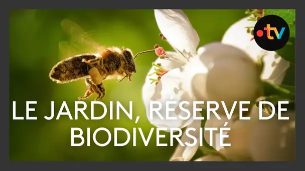 Le jardin, une réserve de biodiversité