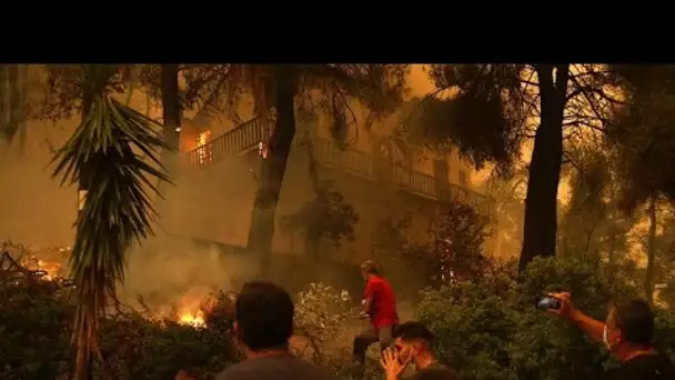 L'île grecque d'Eubée en flammes, 56 000 hectares brûlés en Grèce en dix jours