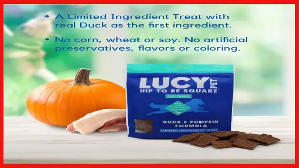 Lucy Pet Hip To Be Square Duck And Pumpkin Dog Treats 6Oz