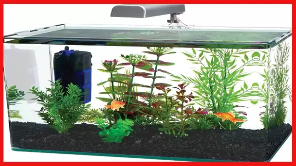 PENN-PLAX Water-World Radius Desktop Nano Aquarium Kit – Includes LED Light, Internal Filter