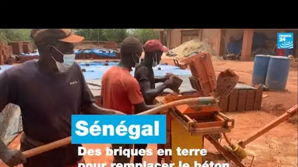 Sénégal : des briques en terre pour remplacer le béton • FRANCE 24