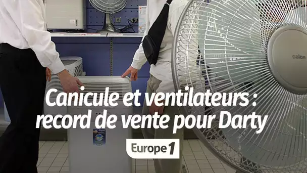 Canicule : Darty n'avait "pas vendu autant de ventilateurs et climatiseurs depuis 20 ans"