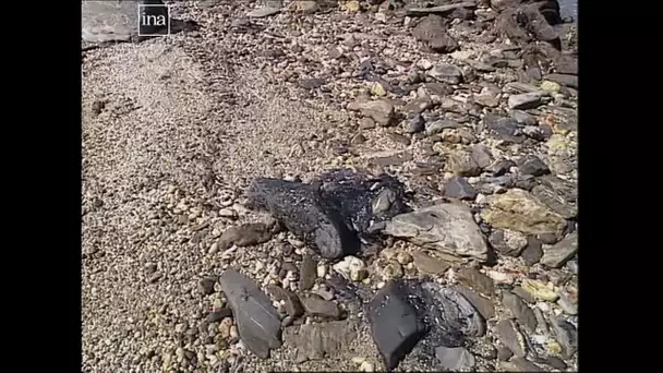 Naufrage du MT Haven : il y a trente ans, les plages de Porquerolles souillées aux hydrocarbures