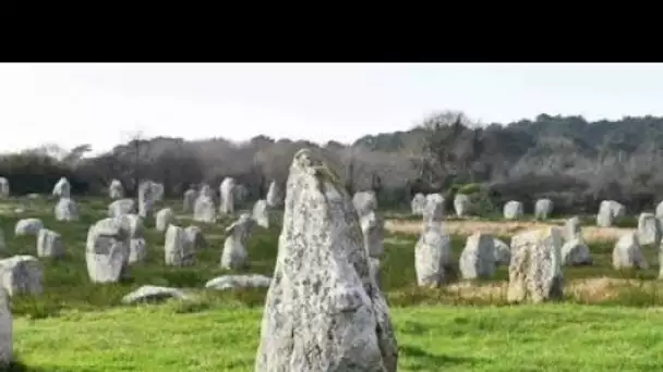 «La loi a été violée», colère à Carnac après la destruction de menhirs au profit d'un magasin de …