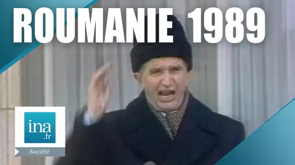 Chute et fuite de Nicolae Ceaușescu - Archive INA