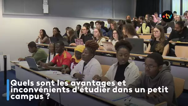 Quels sont les avantages et inconvénients d'étudier dans un petit campus ?