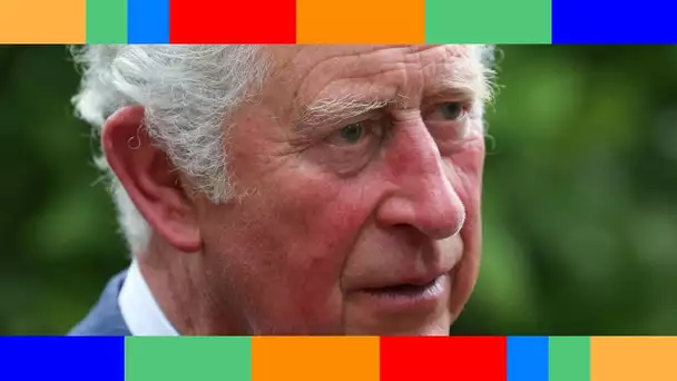 Prince Charles  comment George l'a inspiré dans son nouveau projet pour les enfants