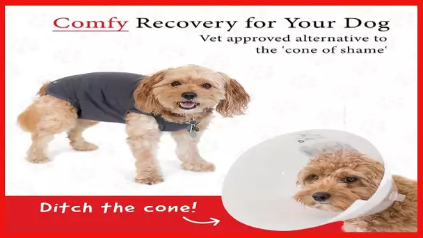 BellyGuard - After Surgery Dog Onesie, Recovery Suit for Dogs, Comfortable Substitute For Cone