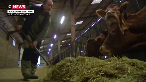 Les agriculteurs crient leur colère