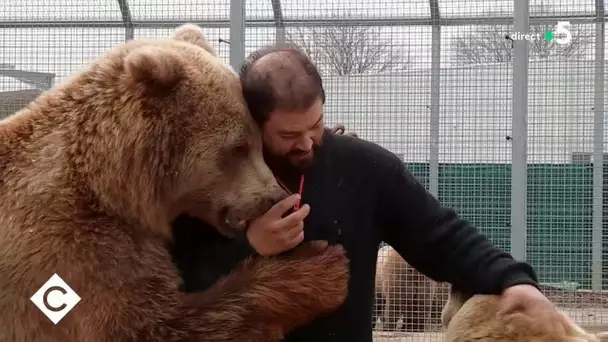 Le zoo-refuge qui recueille les animaux délaissés - C à Vous - 04/02/2021