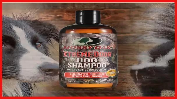 Mossy Oak Xtreme Odor Dog Shampoo