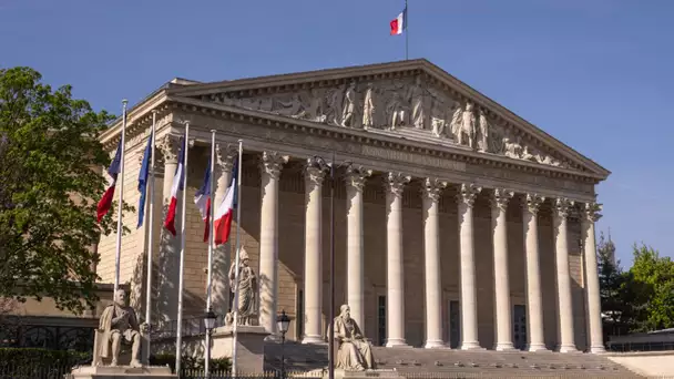 «L'Assemblée nationale, nouveau centre de formation de la téléréalité» : le zapping politique du …