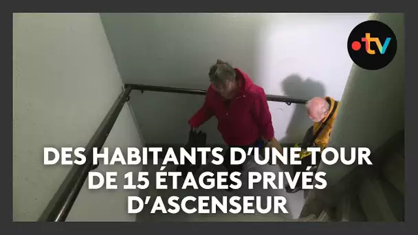 Les habitants d'une tour de 15 étages privés d'ascenseur depuis des semaines à Marseille