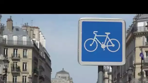 Journée mondiale du vélo : à Paris, la bicyclette a la cote