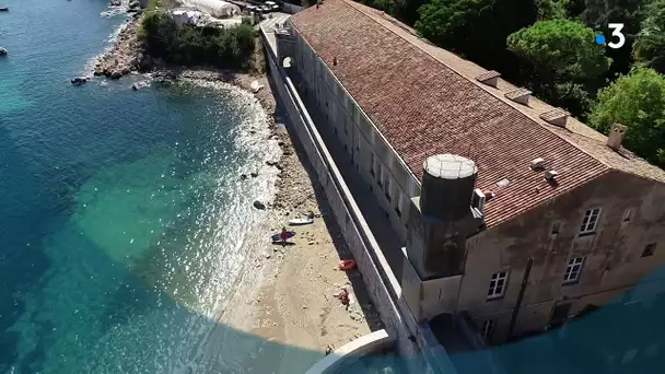 Place Publique à l'Institut de la Mer de Villefranche (IMEV) : la régénération cellulaire