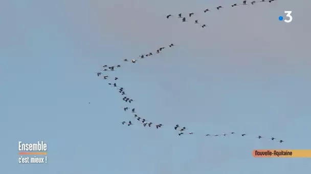 Grues France - Ensemble C'est Mieux -18/02/2020