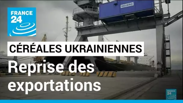 Ukraine : trois ports prêts à reprendre les exportations de céréales • FRANCE 24