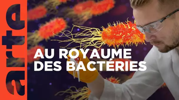 Les microbes | Les vrais maîtres de la Terre | ARTE