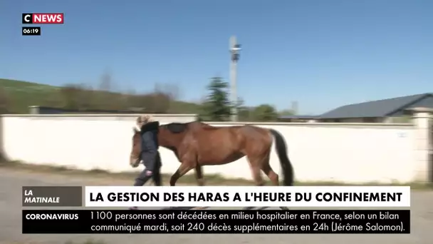 Comment gérer les haras à l'heure du confinement