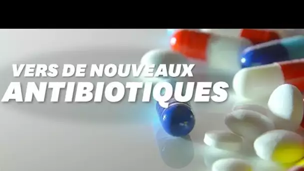 Ces chercheurs conçoivent des antibiotiques d'un nouveau genre (VIDEO OFF)