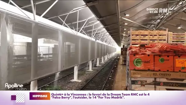 Le train des primeurs qui relie le marché de Rungis à Perpignan est remis en circulation