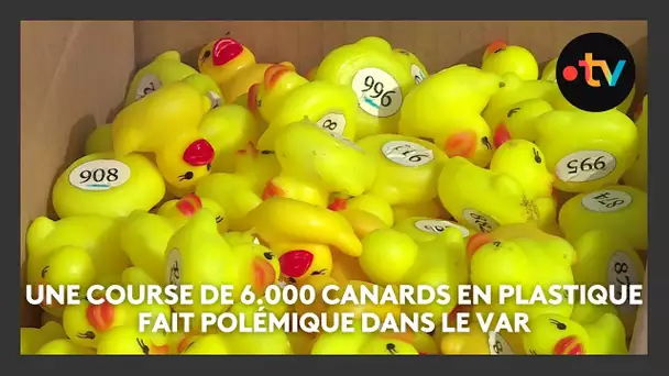Une course de 6.000 canards en plastique fait polémique dans le Var