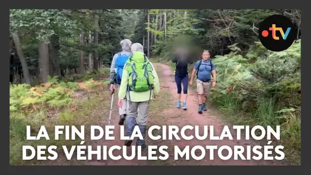 Dans cette forêt, la circulation des véhicules motorisés est interdite