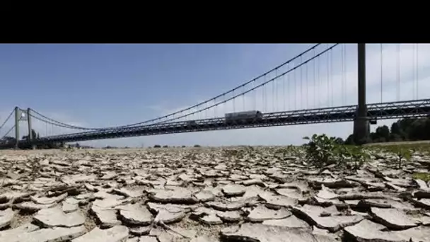 Après la sécheresse de l'été 2022, le niveau des nappes phréatiques remonte avec difficulté