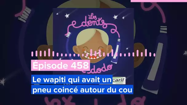 Les dents et dodo - Épisode 458 : Le wapiti qui avait un pneu coincé autour du cou