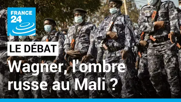 LE DÉBAT - Wagner, l'ombre russe au Mali ? La sécurité au Sahel en question • FRANCE 24