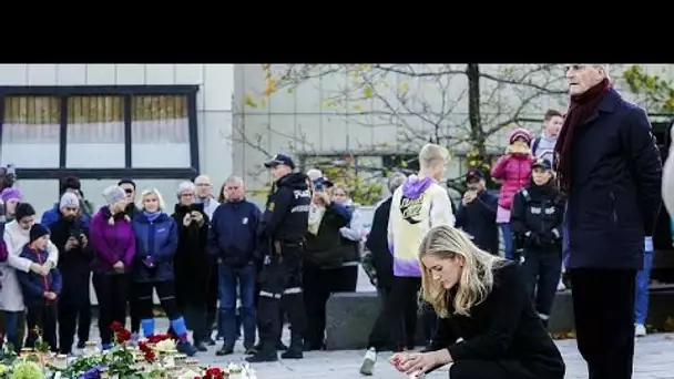 Attaque à l'arc en Norvège : la thèse de la maladie mentale privilégiée