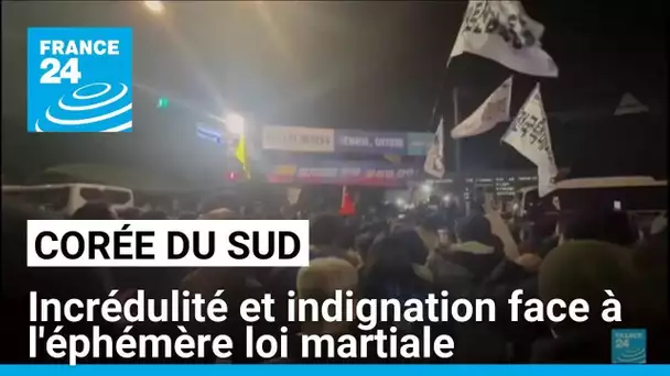 Incrédulité et indignation face à l'éphémère loi martiale en Corée du Sud • FRANCE 24