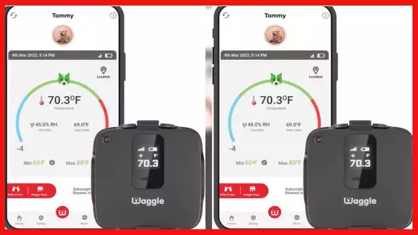 Waggle RV/Dog Safety Temperature & Humidity Sensor (Built-in GPS) with Verizon Cellular | Wireless