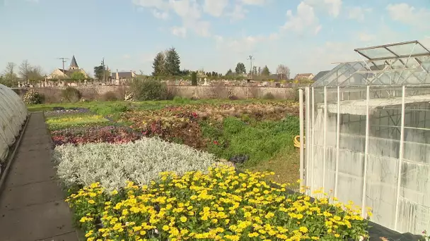 Coronavirus - En Touraine, un horticulteur veut sauver sa production