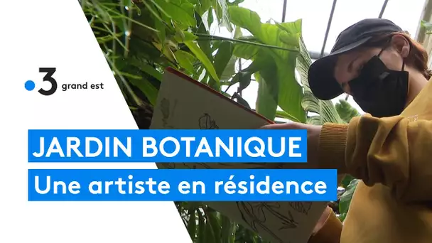 Une artiste en résidence au jardin botanique Jean-Marie Pelt de Villers-lès-Nancy