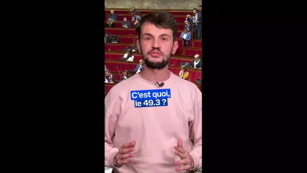 C'est quoi, le 49.3 ?