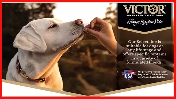 VICTOR Super Premium Dog Food – Chicken Meal & Brown Rice Formula - Dry Dog Food for Normally Active