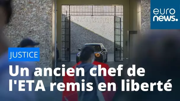 Jose Ternera, ancien chef de l'ETA, remis en liberté à Paris