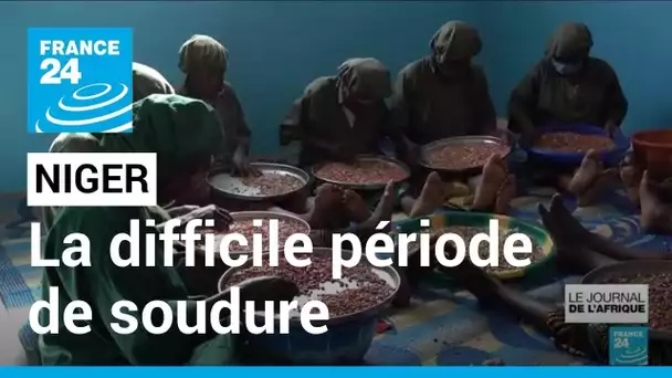 Insécurité alimentaire au Sahel : le Niger face à la difficile période de soudure • FRANCE 24