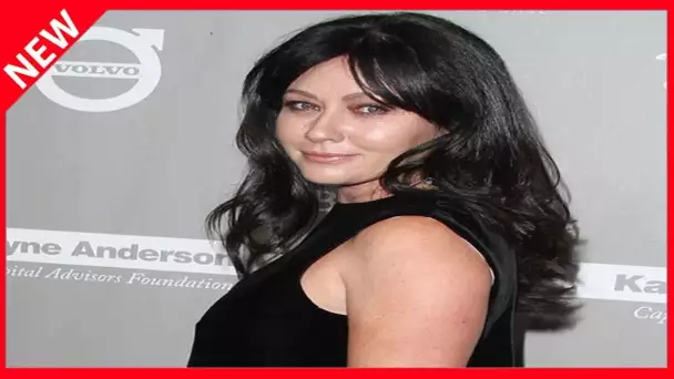 Shannen Doherty rattrapée par le cancer  pourquoi elle peut dire merci à son chien