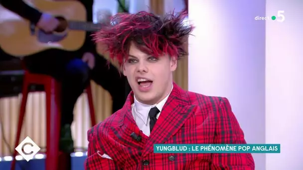 Yungblud : le phénomène pop anglais - C à Vous - 19/01/2021